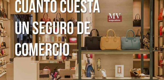 MV Aseguradores. Correduría de Seguros