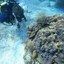 Seguro de Buceo