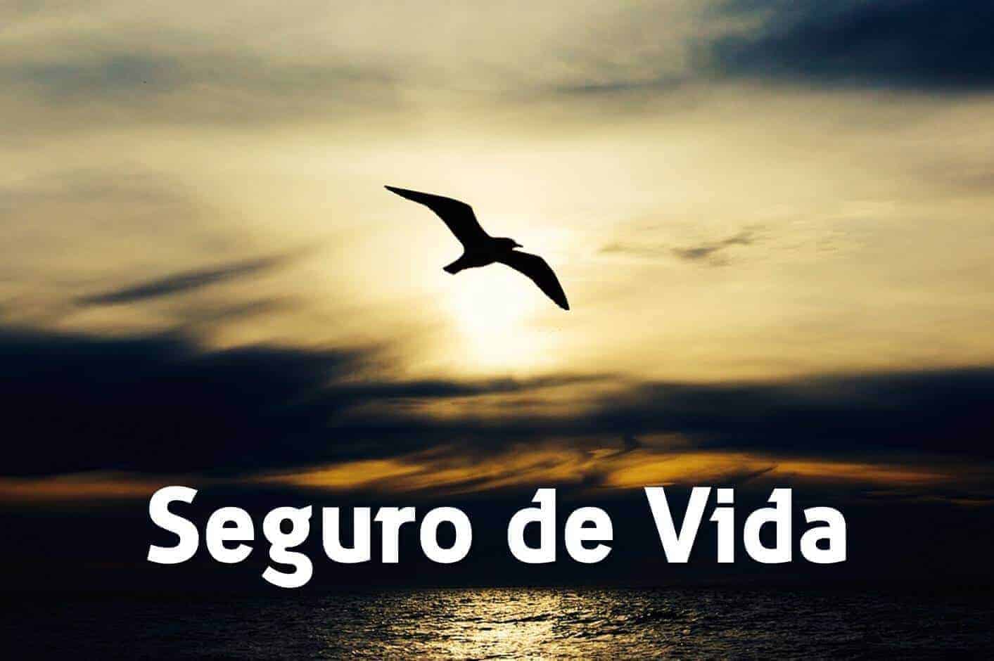 que es un seguro de vida y para que sirve