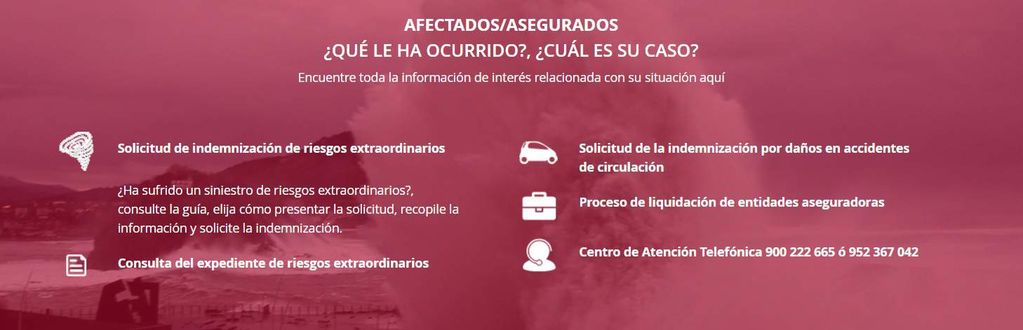 consorcio de seguros 2