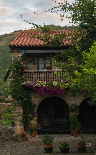 barcemayor